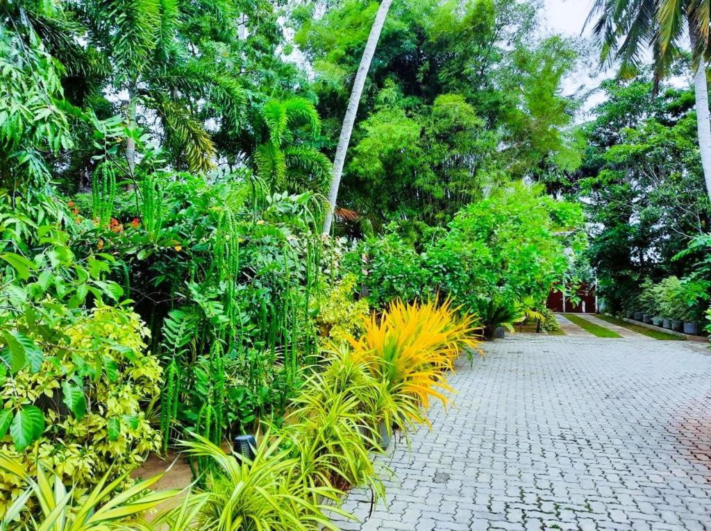 Krishan Villa Negombo Exterior photo
