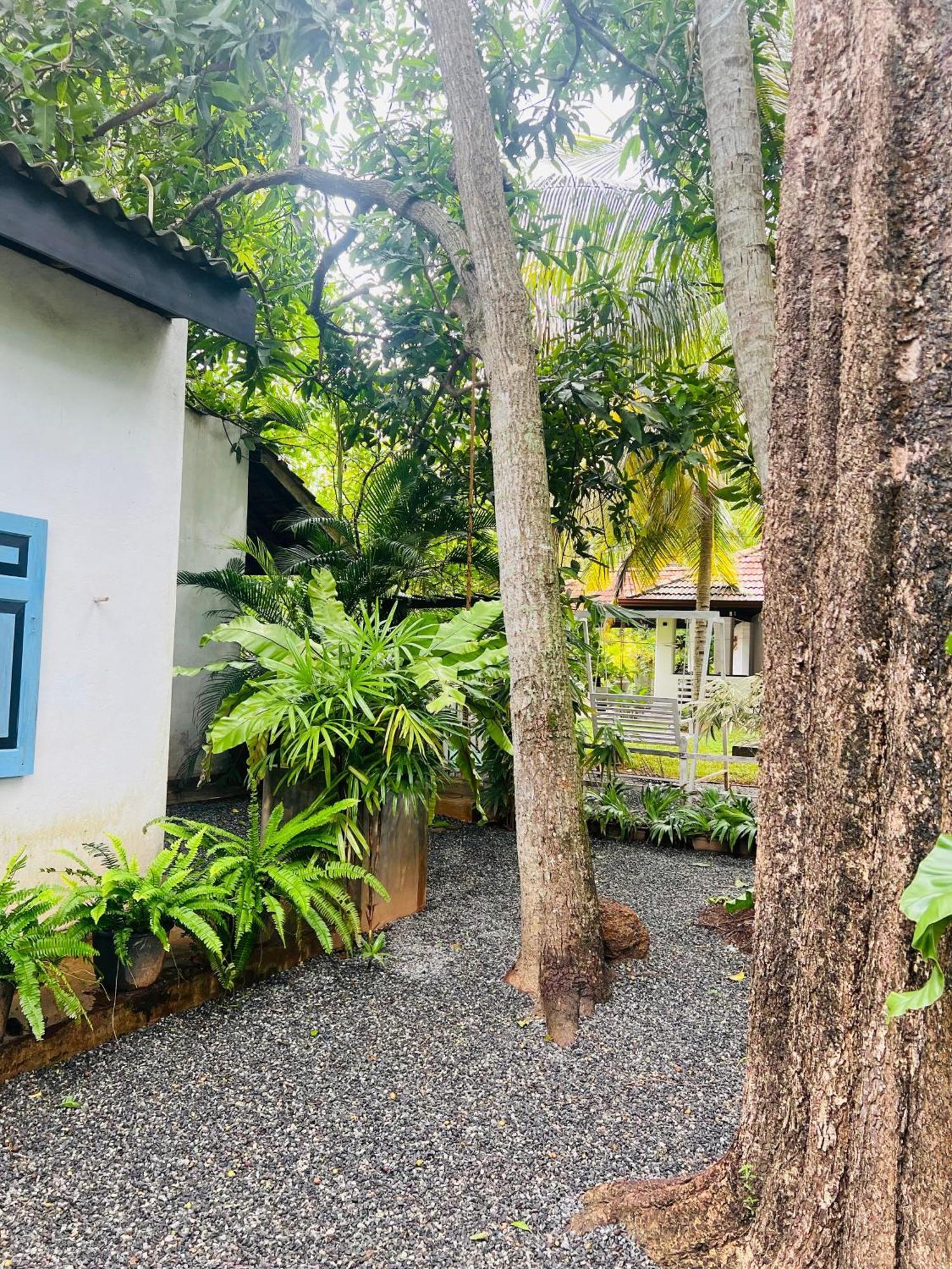 Krishan Villa Negombo Exterior photo