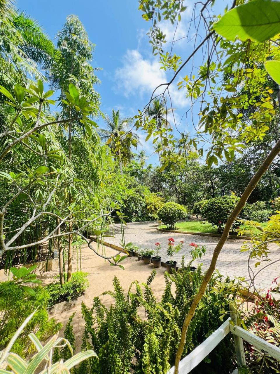 Krishan Villa Negombo Exterior photo