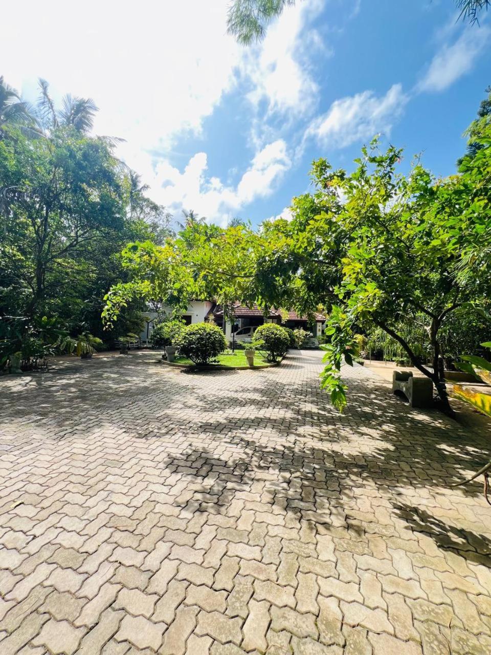 Krishan Villa Negombo Exterior photo